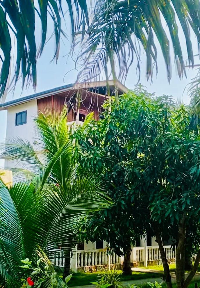 Serenity Haven Lodge Busua Zewnętrze zdjęcie